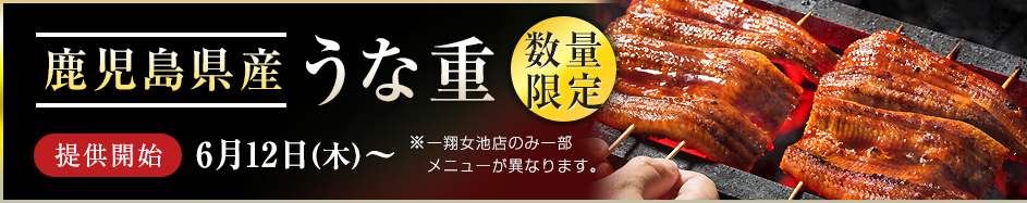鹿児島県産うな重
